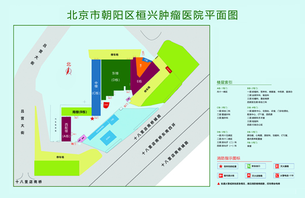 狗屄槽北京市朝阳区桓兴肿瘤医院平面图